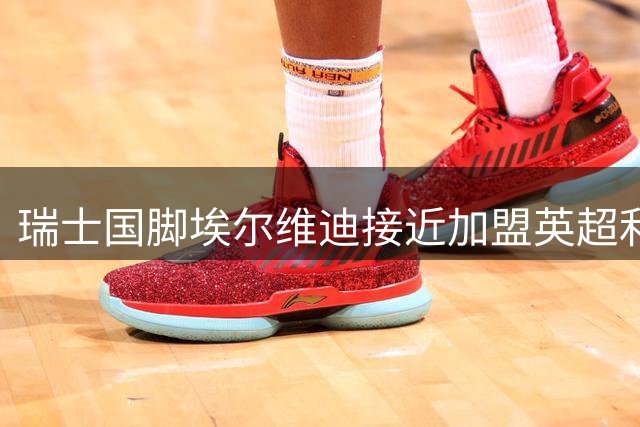 瑞士国脚埃尔维迪接近加盟英超利兹联
